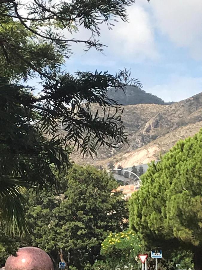 Apartamento Bajo B Avenida De Las Yedras Lejlighed